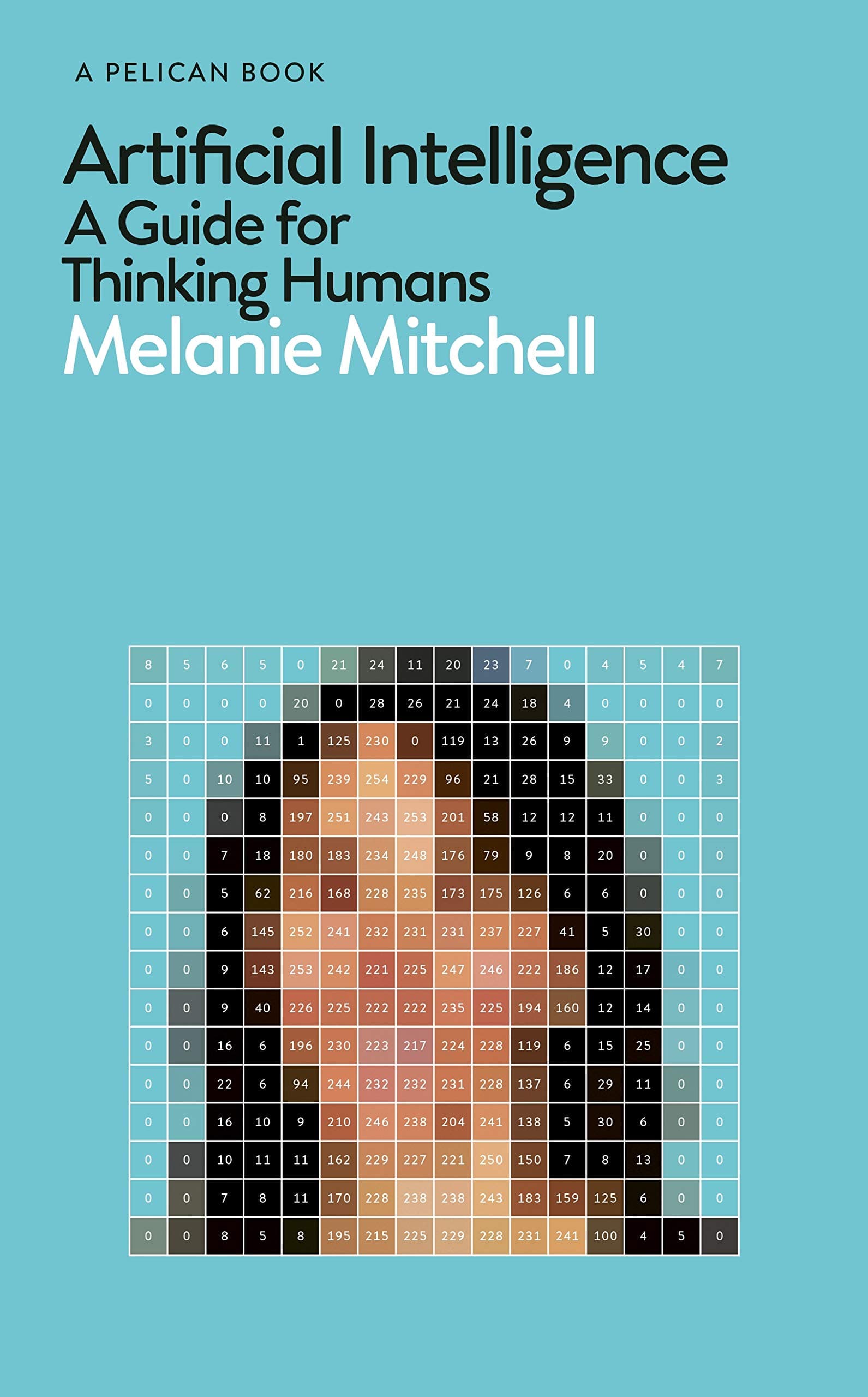 ai-guide-melanie-mitchell.jpeg